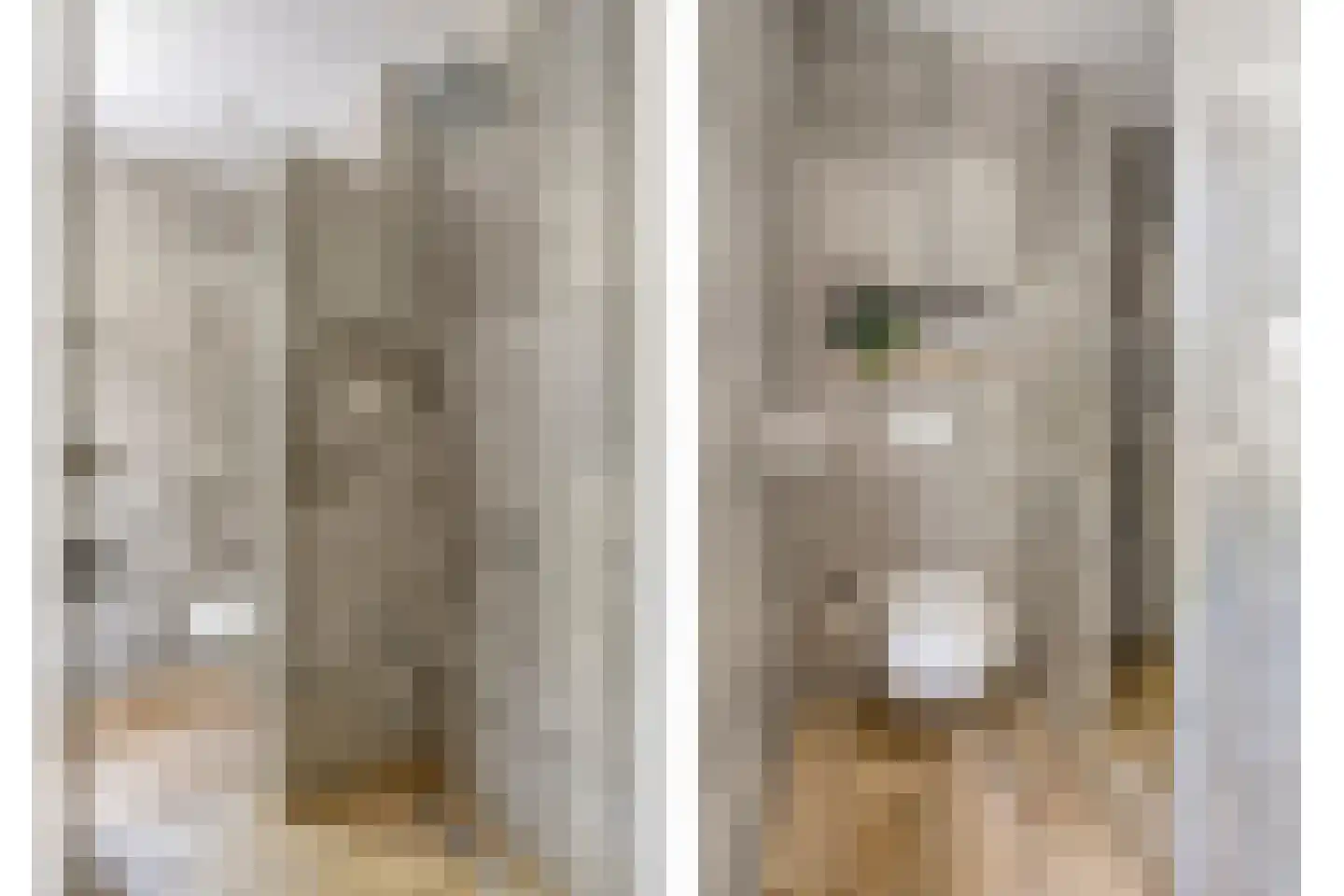 De Rietakker 41 Vasse thumbnail 23