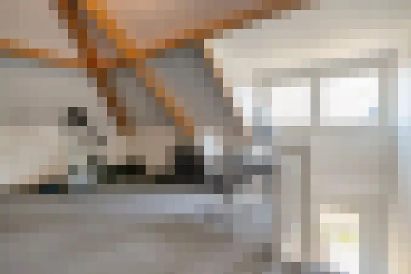 De Rietakker 41 Vasse thumbnail 24