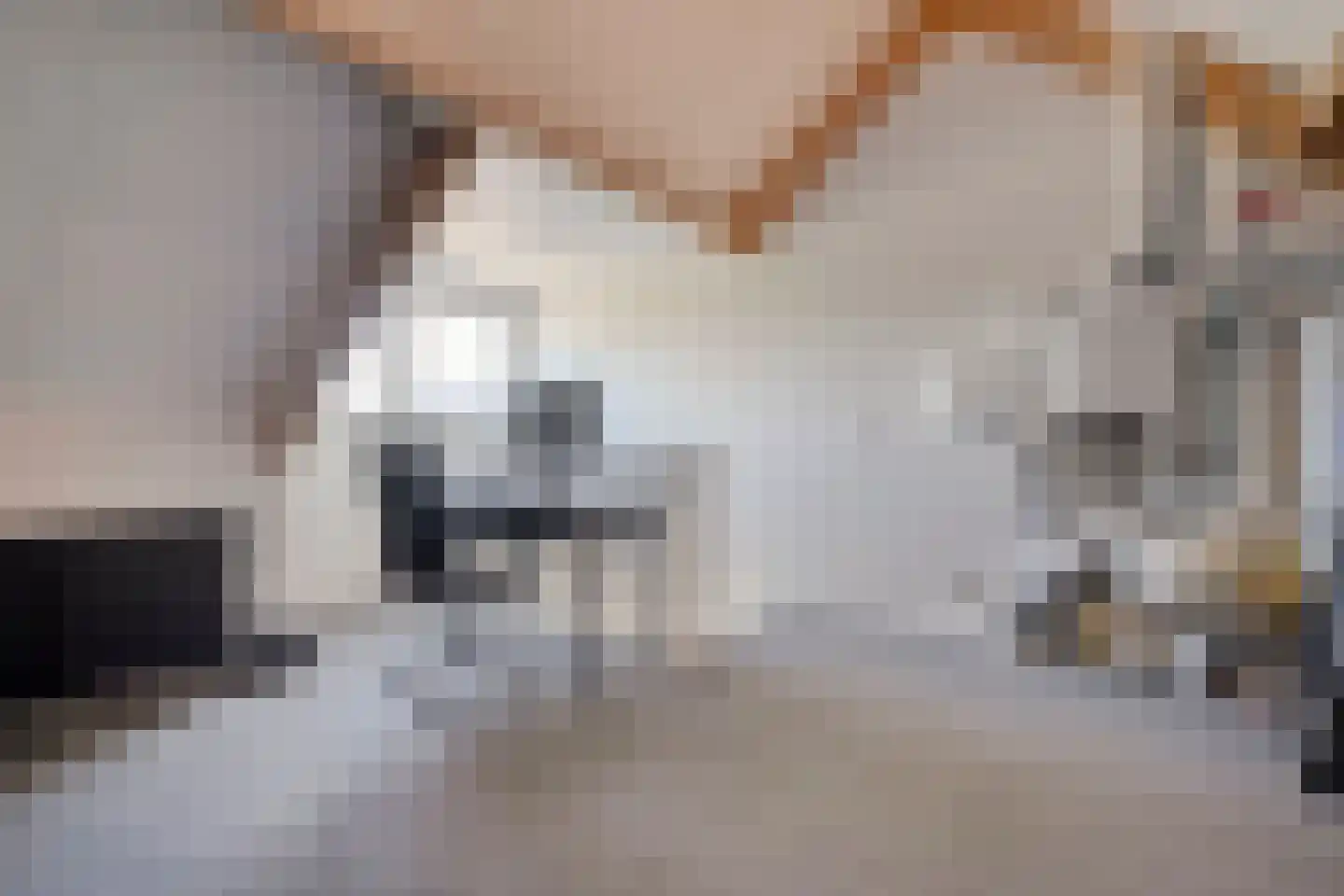 De Rietakker 41 Vasse thumbnail 25