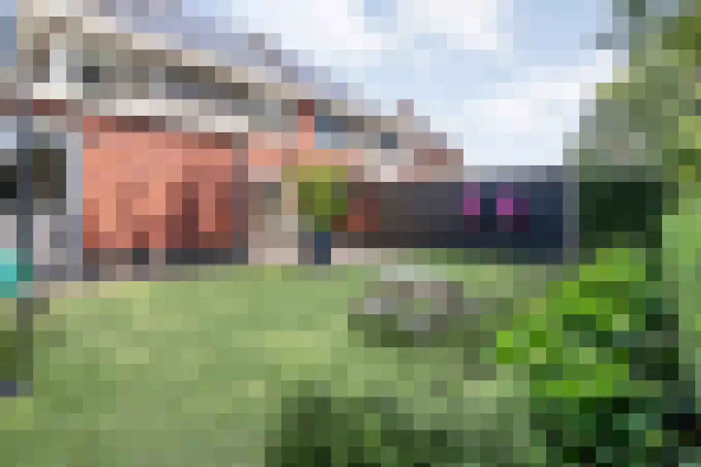De Rietakker 41 Vasse thumbnail 26