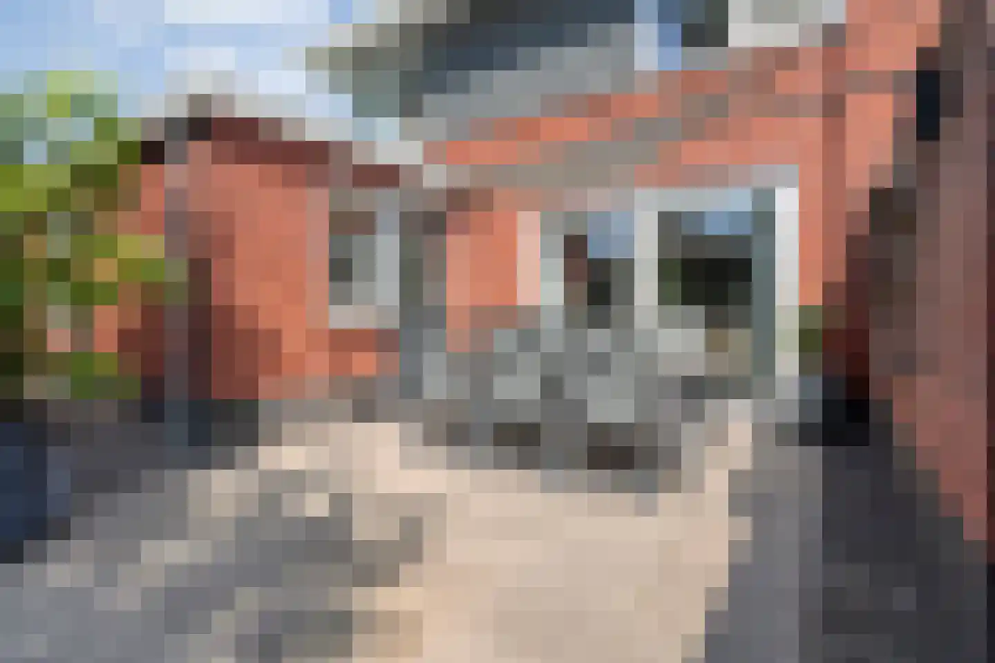 De Rietakker 41 Vasse thumbnail 27