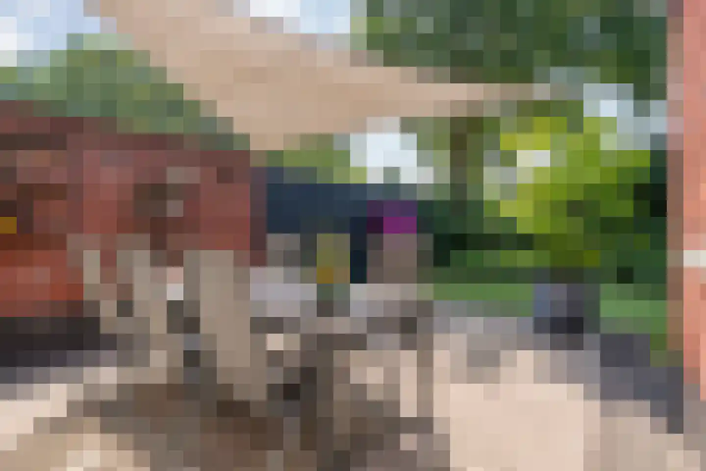 De Rietakker 41 Vasse thumbnail 28