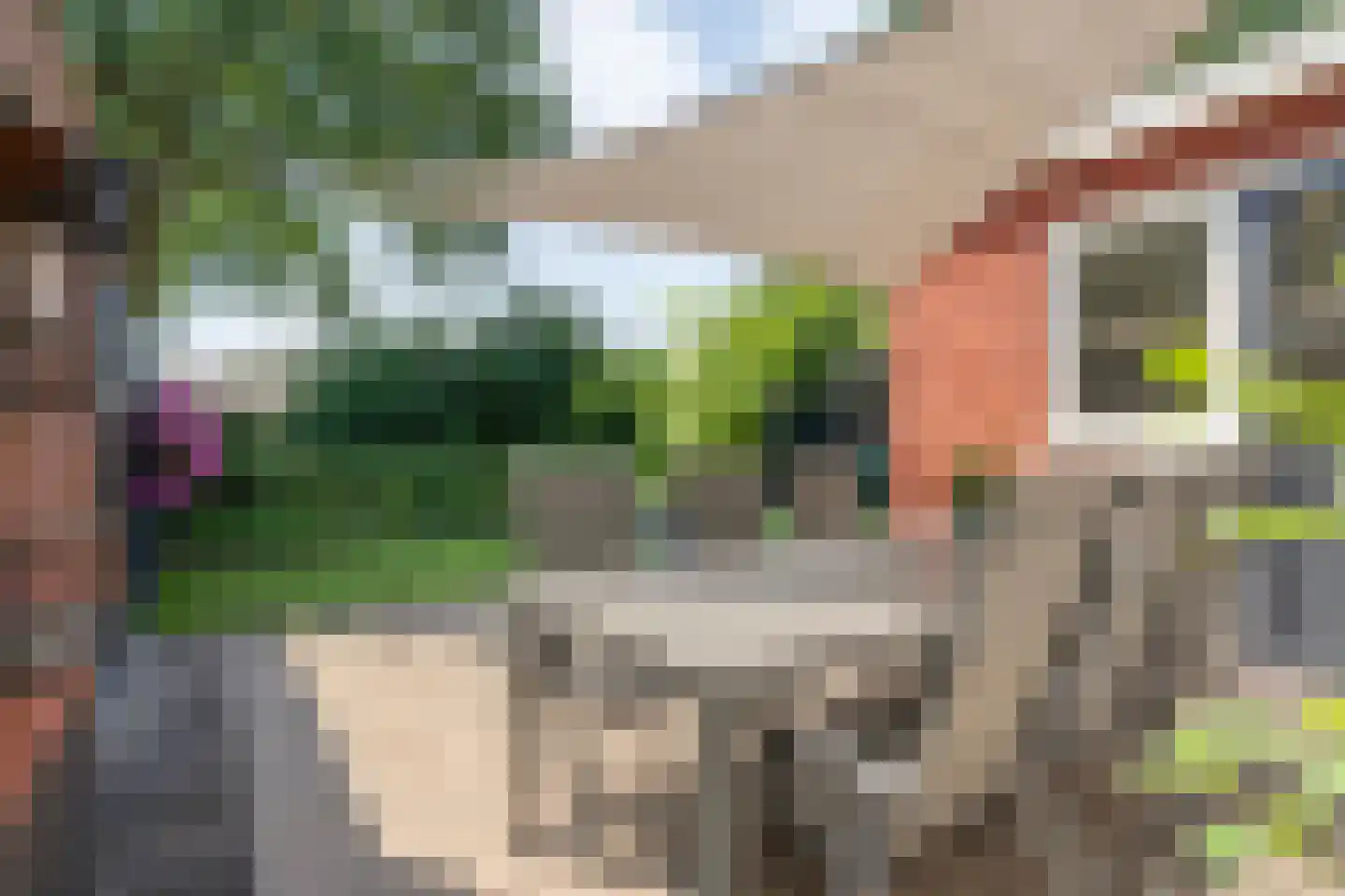 De Rietakker 41 Vasse thumbnail 29