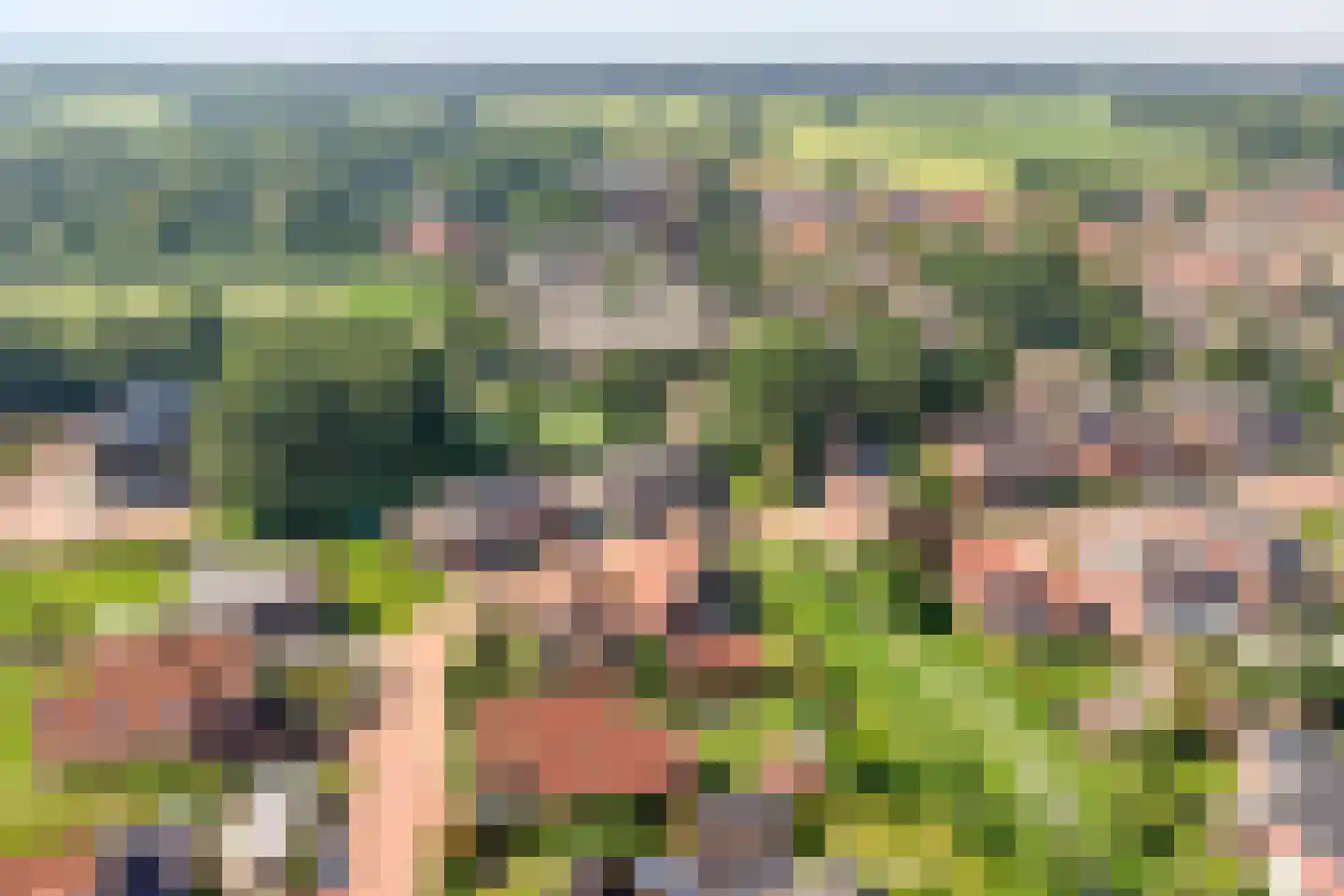 De Rietakker 41 Vasse thumbnail 33