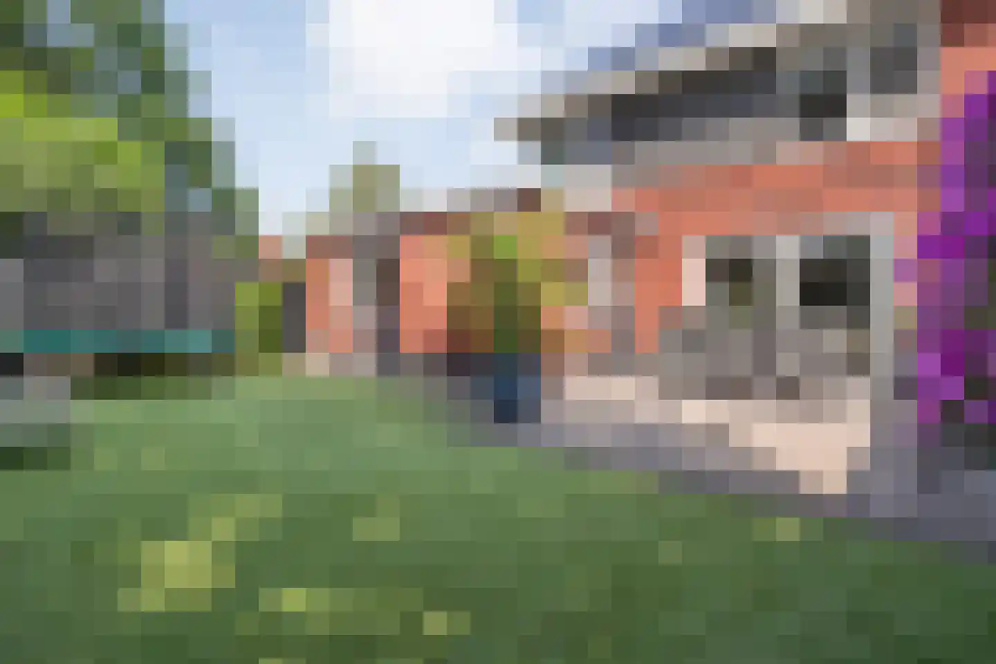De Rietakker 41 Vasse thumbnail 4