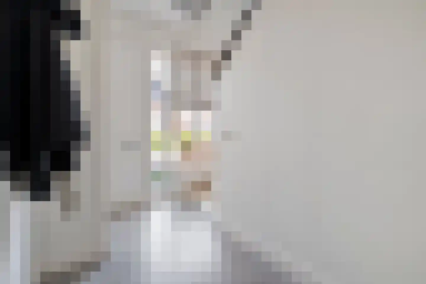 De Rietakker 41 Vasse thumbnail 6