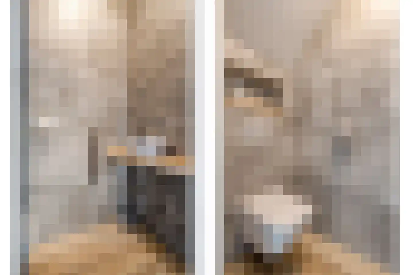 De Rietakker 41 Vasse thumbnail 7