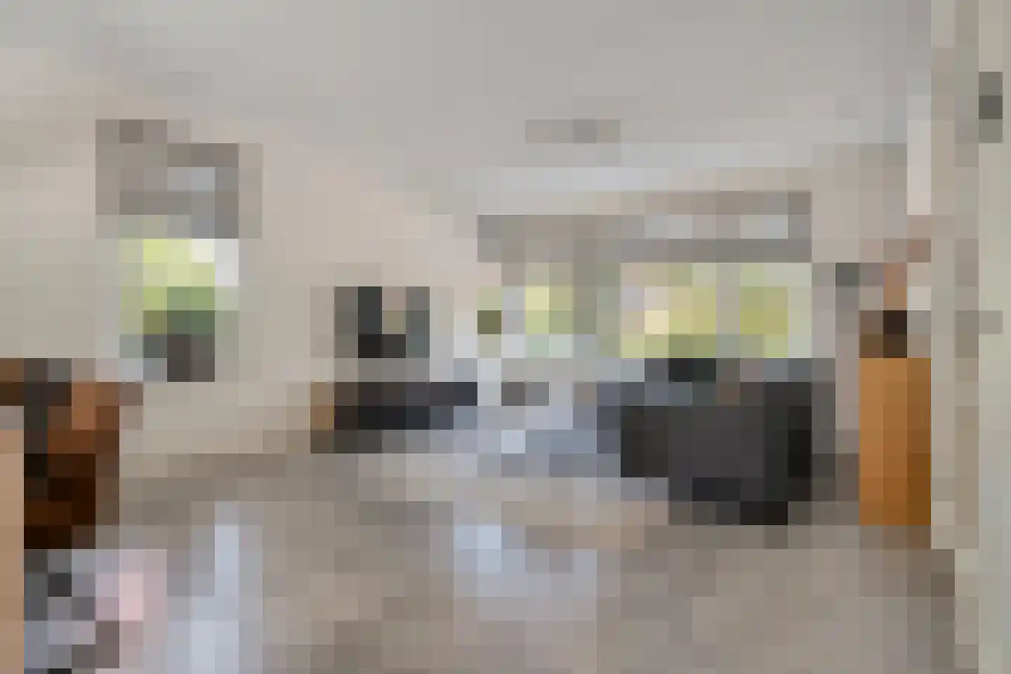 De Rietakker 41 Vasse thumbnail 9