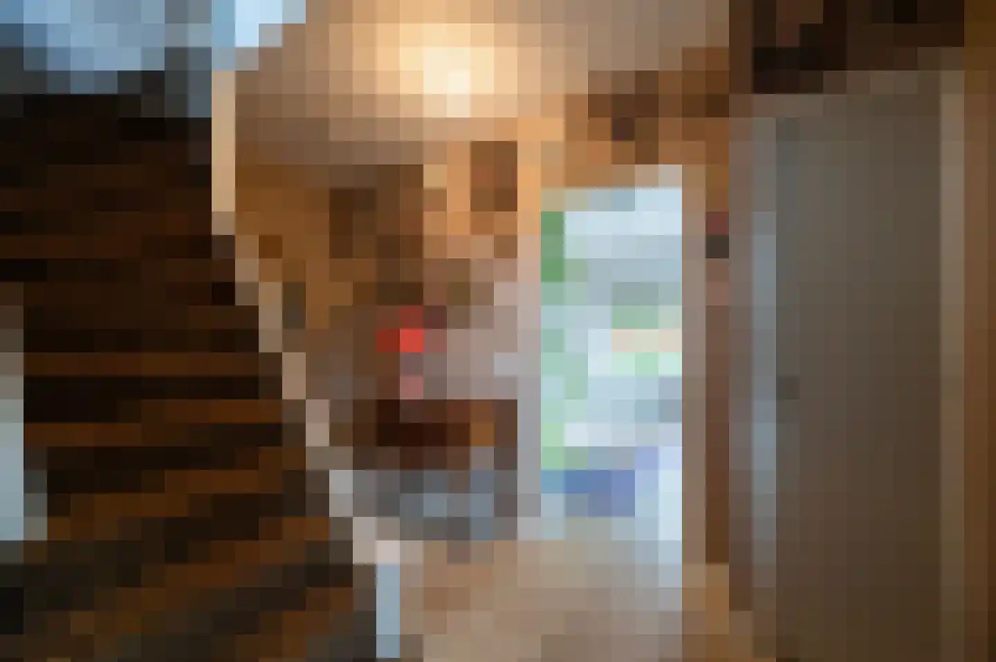 De Rieten 4 Uddel thumbnail 13