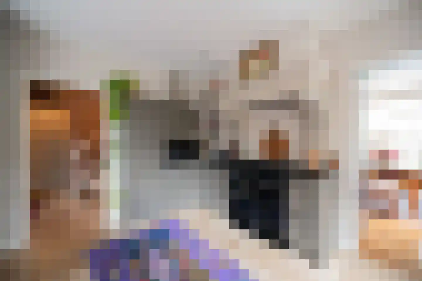 De Rieten 4 Uddel thumbnail 14