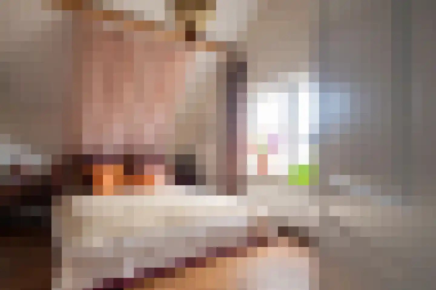 De Rieten 4 Uddel thumbnail 24