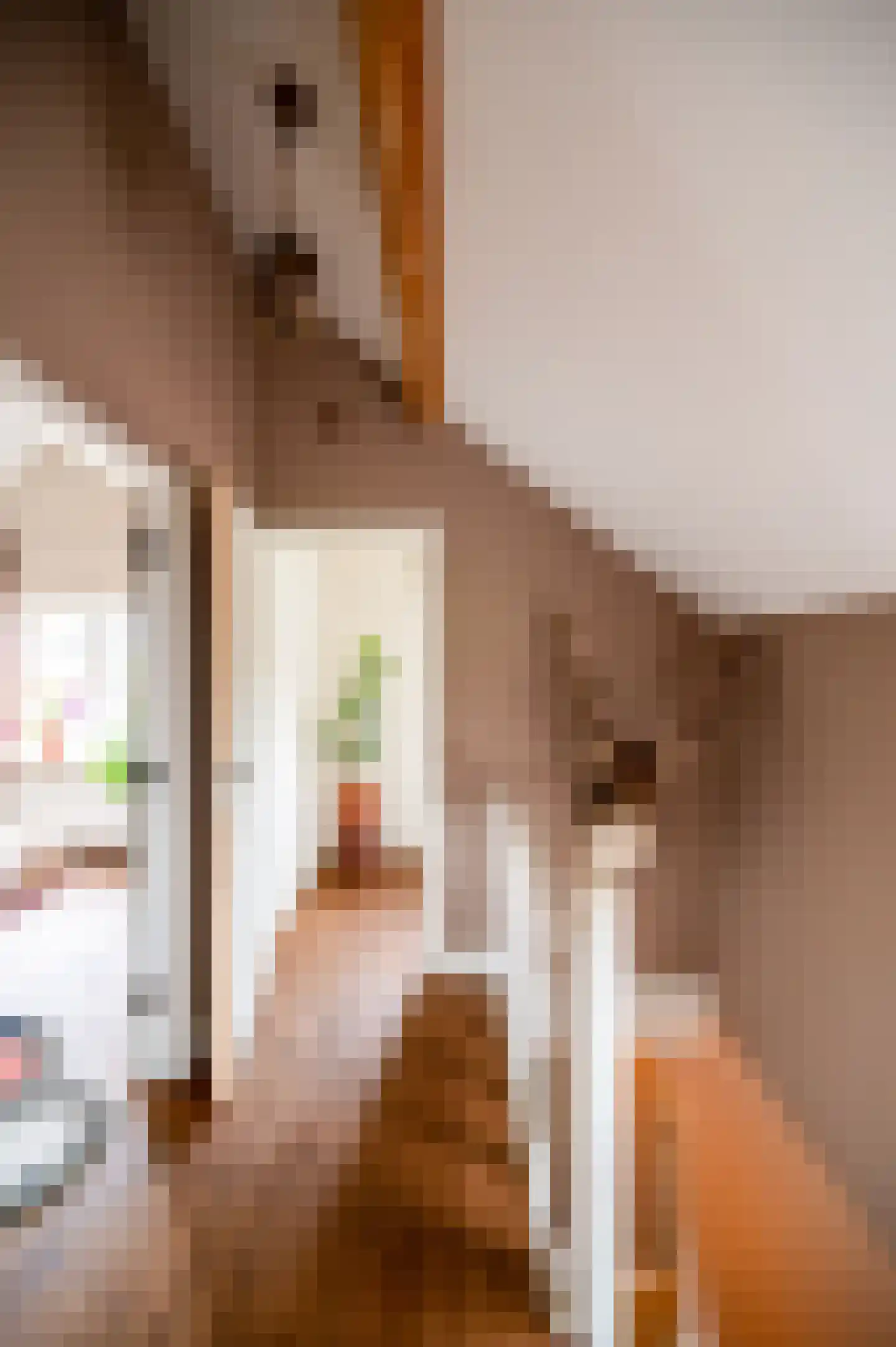 De Rieten 4 Uddel thumbnail 28