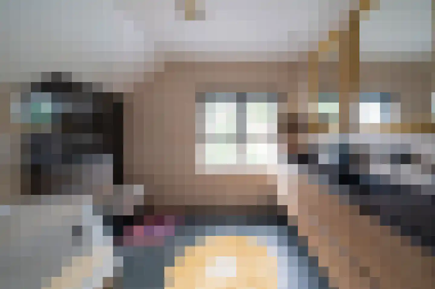 De Rieten 4 Uddel thumbnail 29
