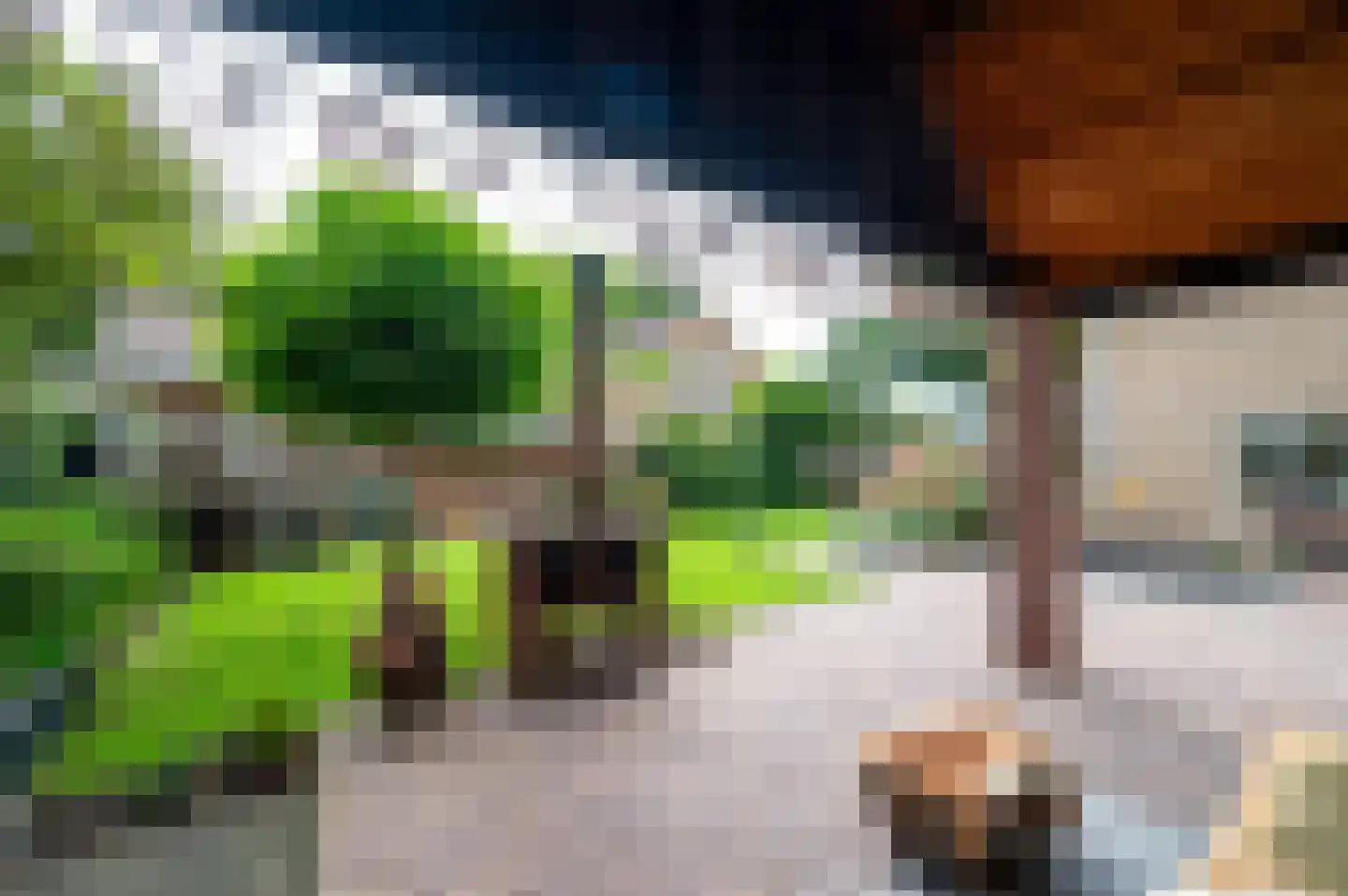 De Rieten 4 Uddel thumbnail 32