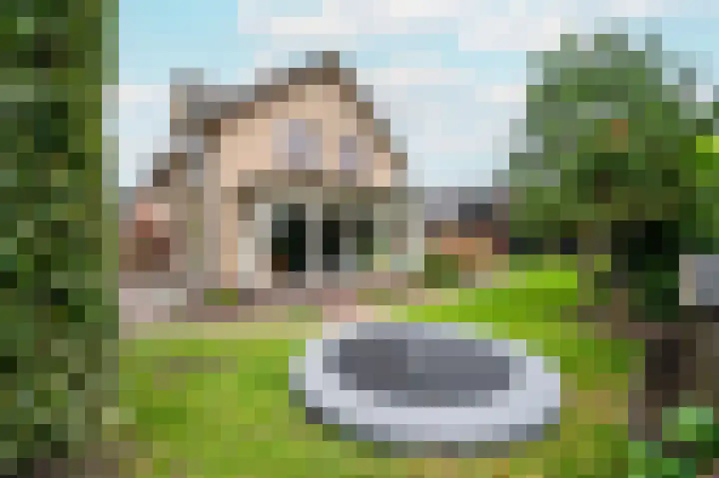 De Rieten 4 Uddel thumbnail 37