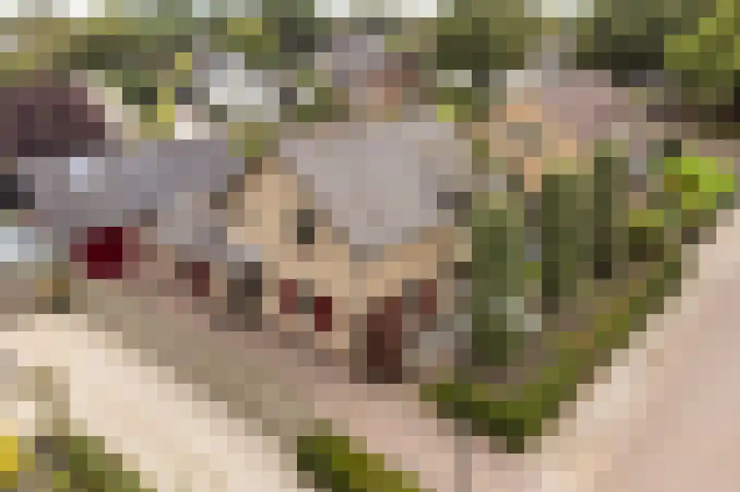 De Rieten 4 Uddel thumbnail 39