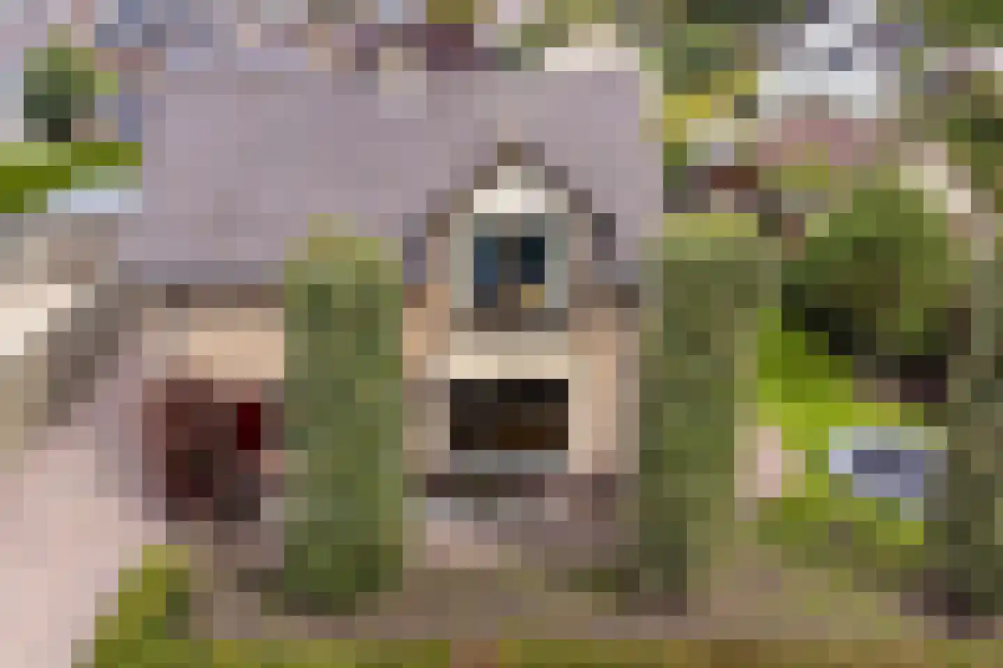 De Rieten 4 Uddel thumbnail 4