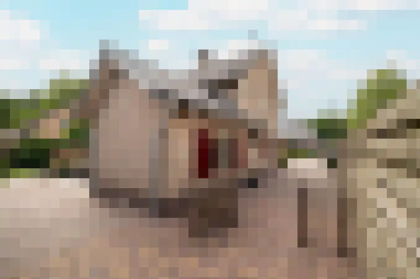 De Rieten 4 Uddel thumbnail 9