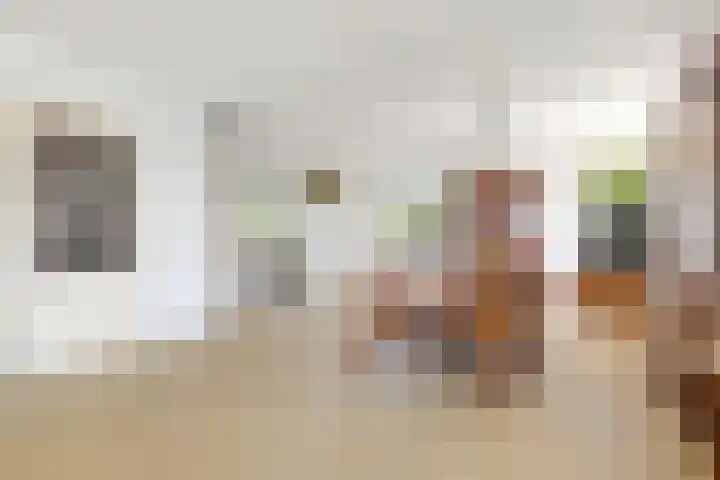 De Rietgans 12 Harlingen thumbnail 26