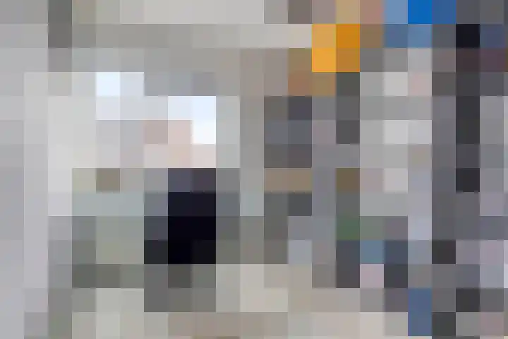 De Rietgans 12 Harlingen thumbnail 38