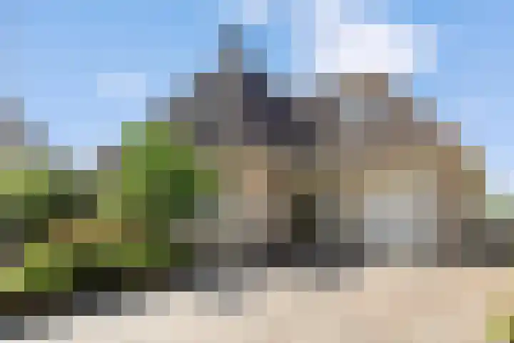 De Rietgans 12 Harlingen thumbnail 4