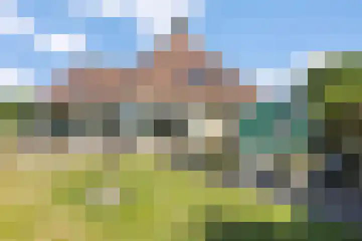 De Rietgans 12 Harlingen thumbnail 43