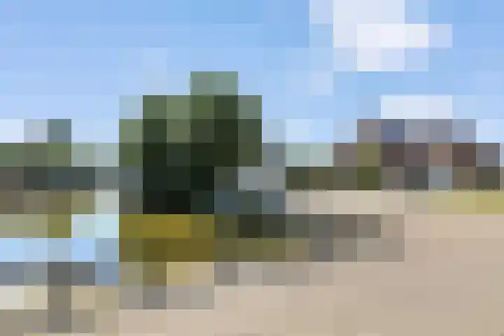 De Rietgans 12 Harlingen thumbnail 6