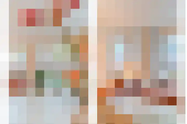 De Rietgans 14 Dedemsvaart thumbnail 10