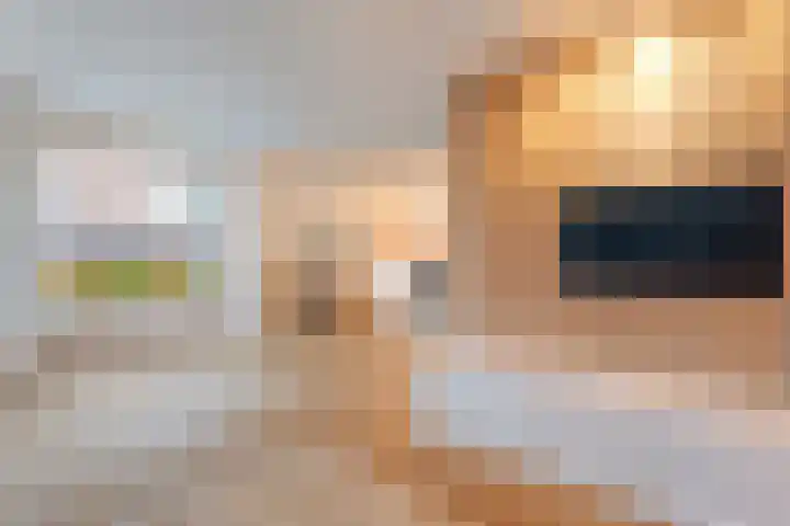 De Rietgans 14 Dedemsvaart thumbnail 11
