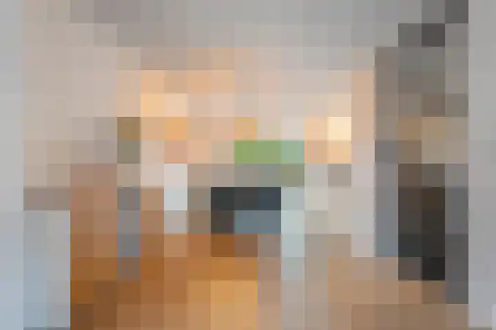 De Rietgans 14 Dedemsvaart thumbnail 12