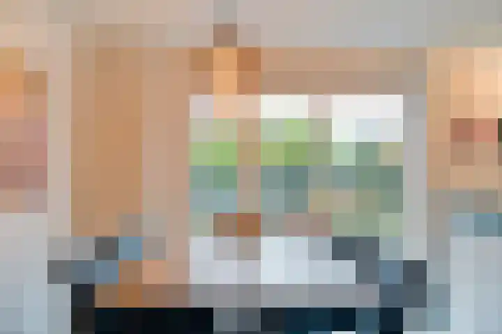 De Rietgans 14 Dedemsvaart thumbnail 14