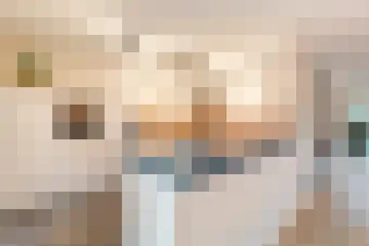 De Rietgans 14 Dedemsvaart thumbnail 15