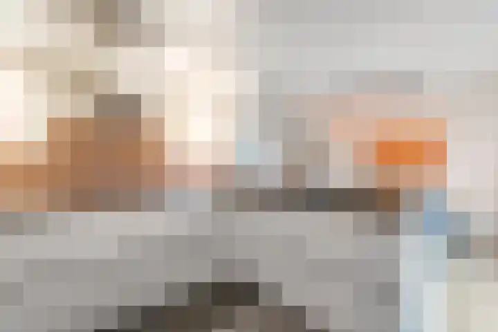 De Rietgans 14 Dedemsvaart thumbnail 16