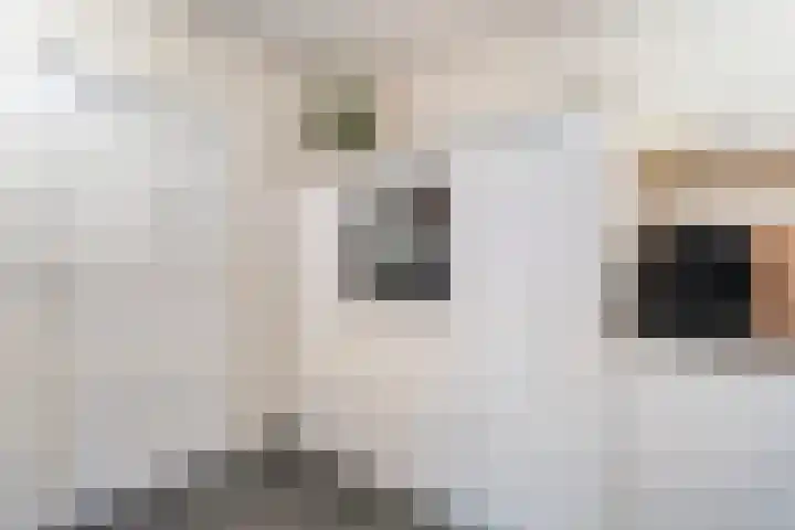 De Rietgans 14 Dedemsvaart thumbnail 18