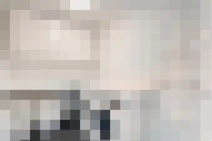 De Rietgans 14 Dedemsvaart thumbnail 19