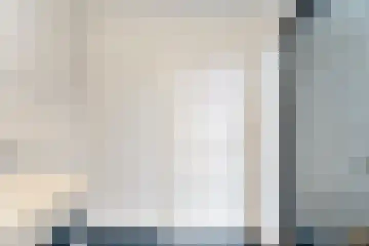 De Rietgans 14 Dedemsvaart thumbnail 20