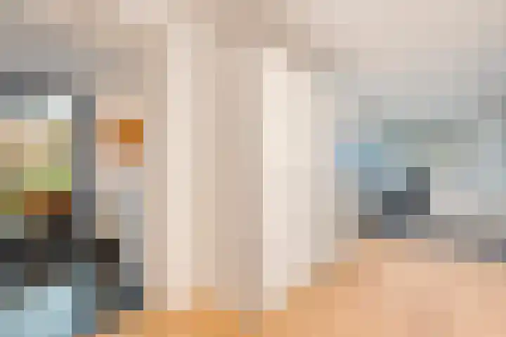 De Rietgans 14 Dedemsvaart thumbnail 21