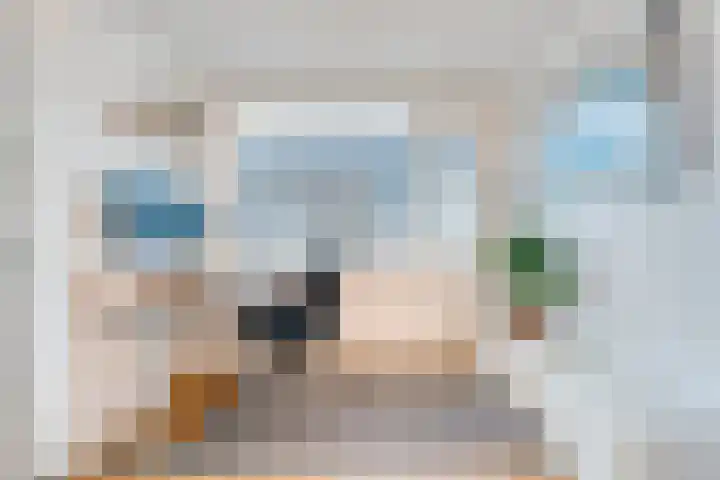 De Rietgans 14 Dedemsvaart thumbnail 23