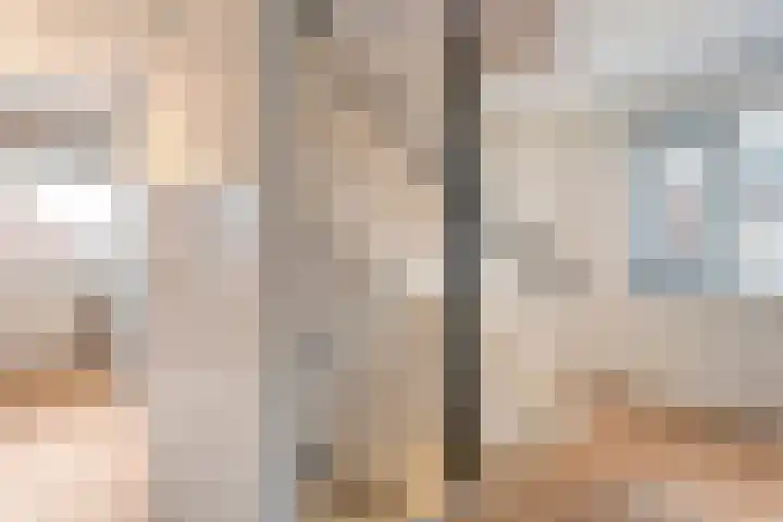 De Rietgans 14 Dedemsvaart thumbnail 25