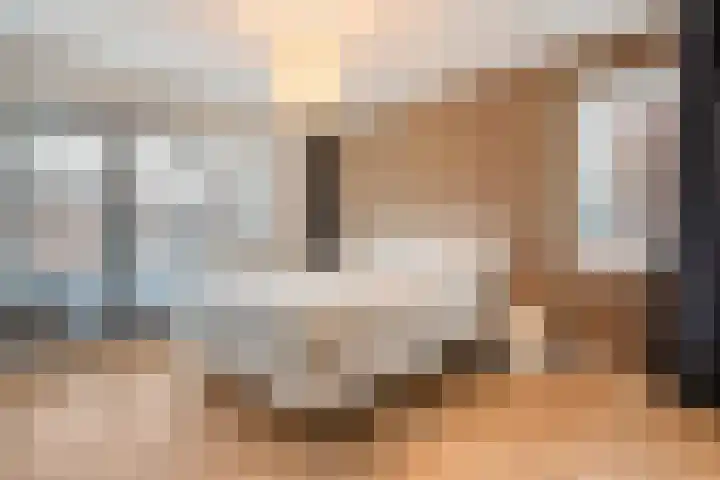 De Rietgans 14 Dedemsvaart thumbnail 26