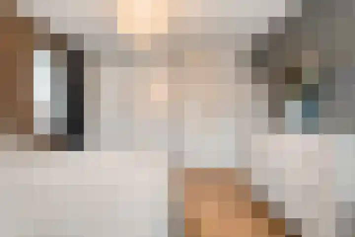 De Rietgans 14 Dedemsvaart thumbnail 27