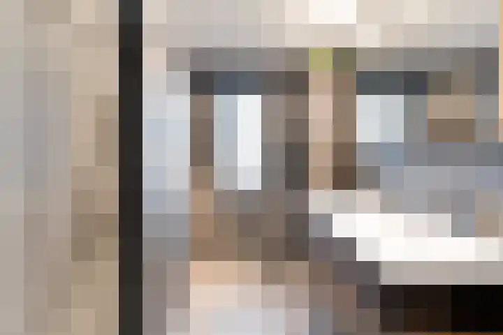 De Rietgans 14 Dedemsvaart thumbnail 32