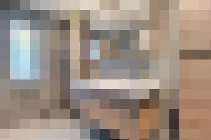 De Rietgans 14 Dedemsvaart thumbnail 33