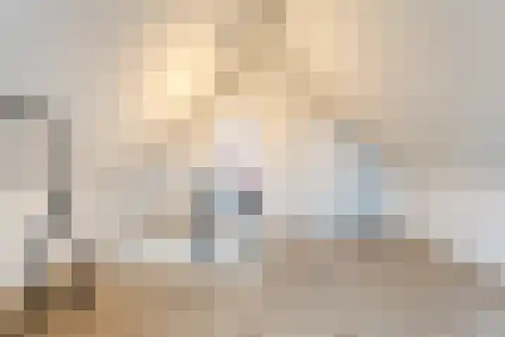 De Rietgans 14 Dedemsvaart thumbnail 35