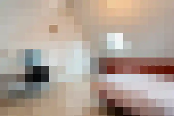 De Rietgans 14 Dedemsvaart thumbnail 38