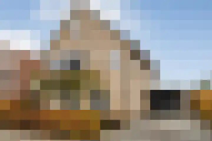 De Rietgans 14 Dedemsvaart thumbnail 4