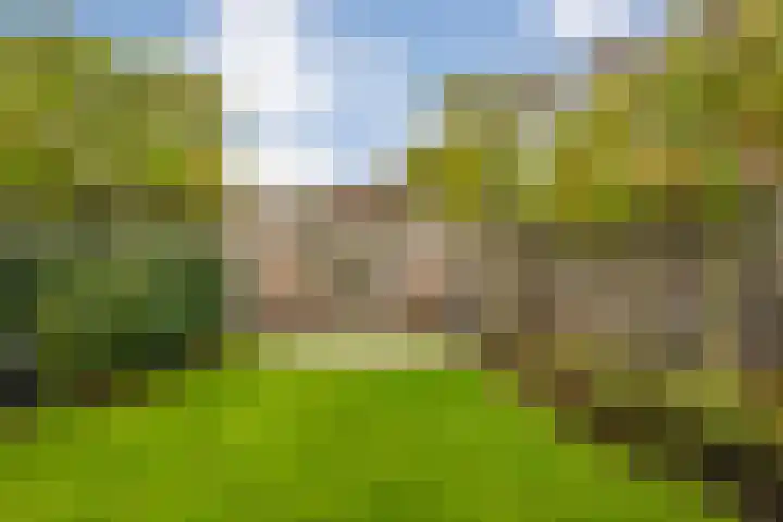 De Rietgans 14 Dedemsvaart thumbnail 42