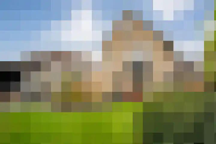 De Rietgans 14 Dedemsvaart thumbnail 43