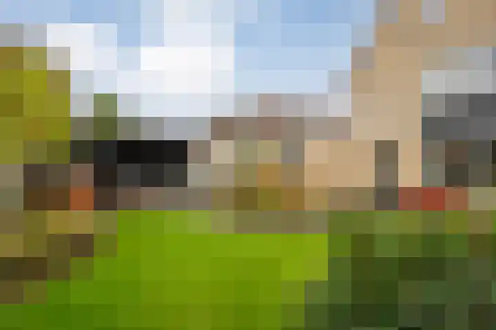 De Rietgans 14 Dedemsvaart thumbnail 44