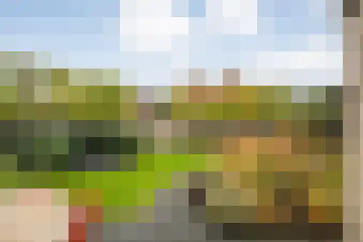 De Rietgans 14 Dedemsvaart thumbnail 45